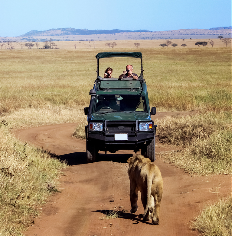 Tanzania Wildlife Safari Tour