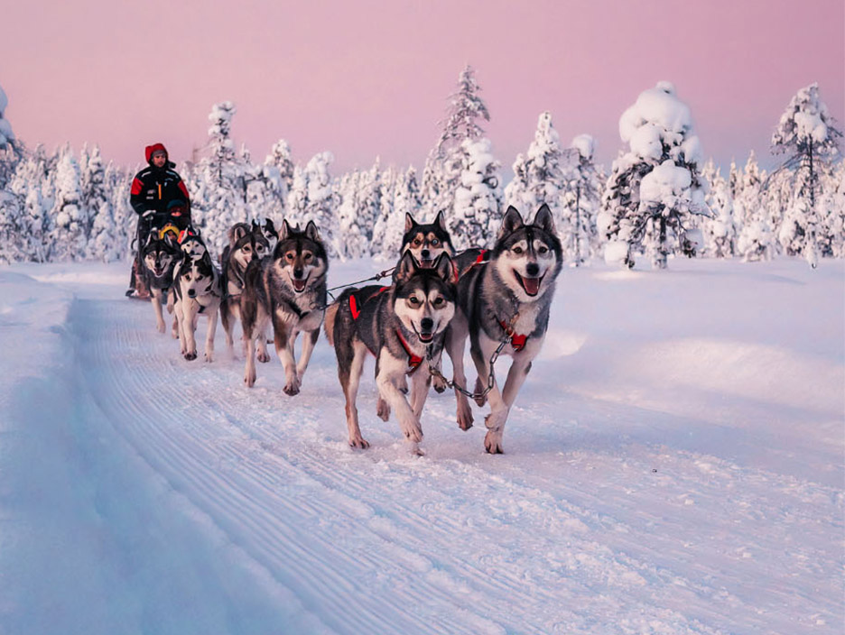 Lapland Winter Tour 