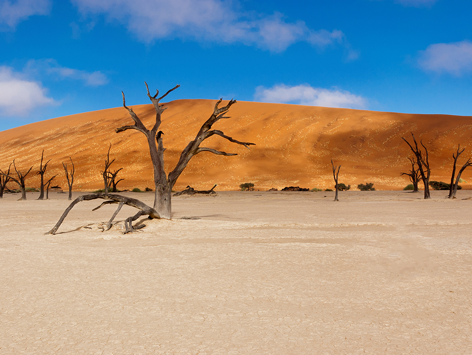 Namibia Desert Safari 