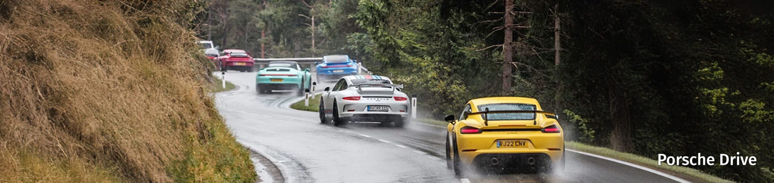 Drive Porsche Banner