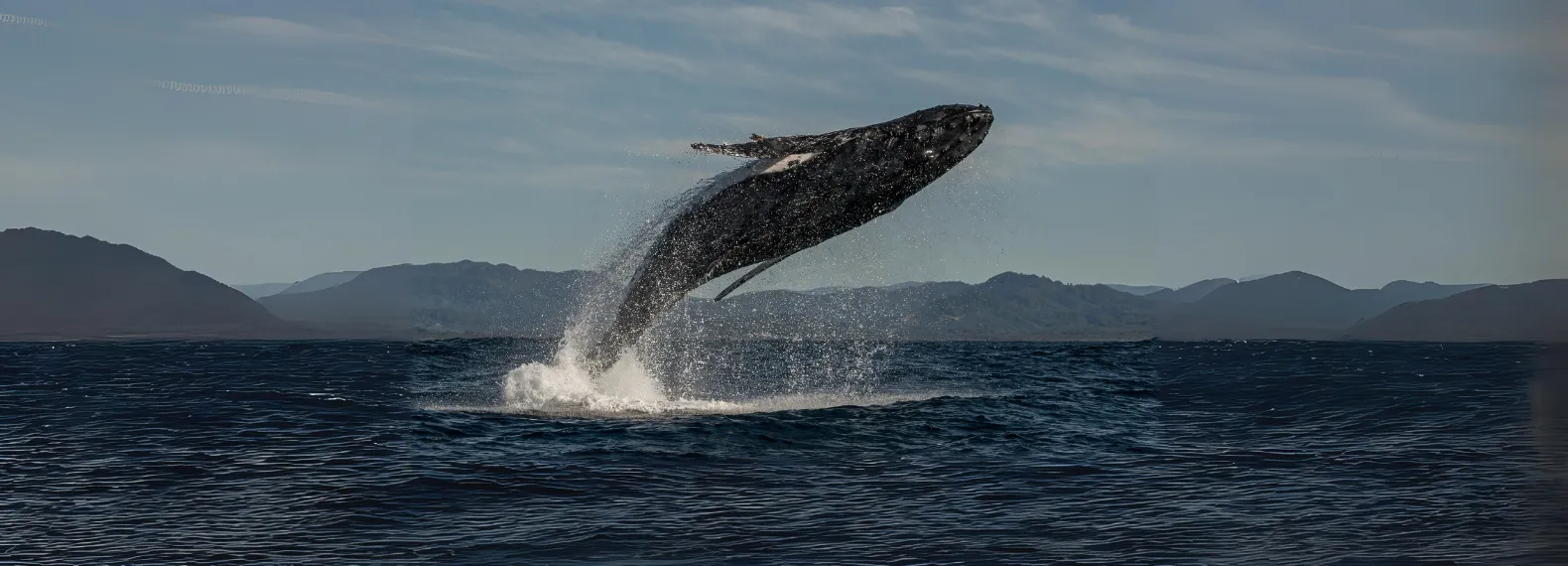 Kaikoura