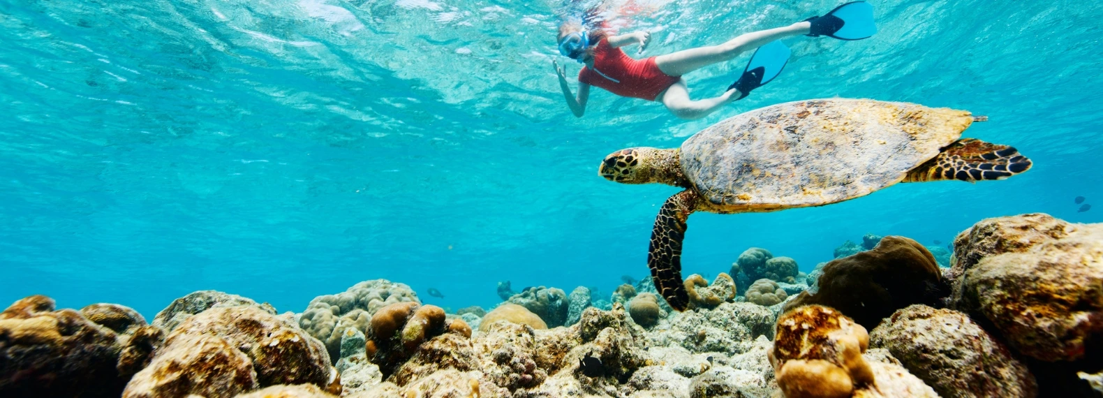 Snorkeling at Silfra