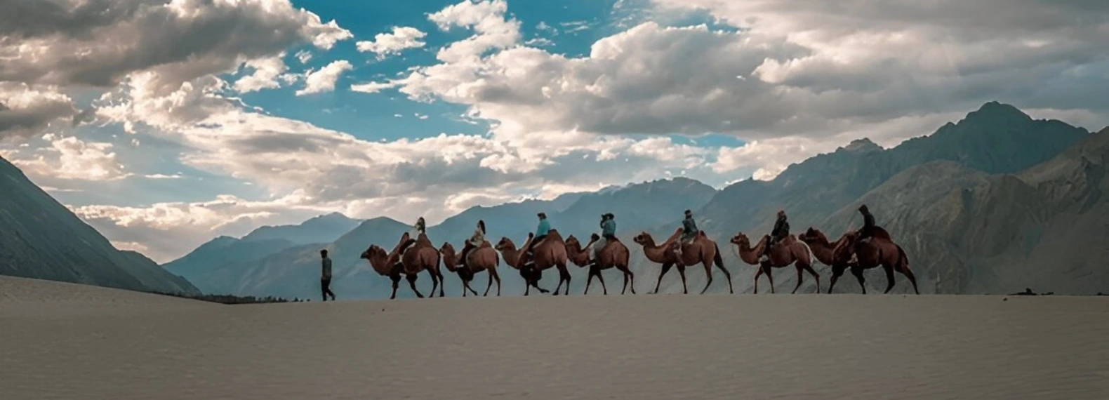 Double Hump Bactrian Camel Ride