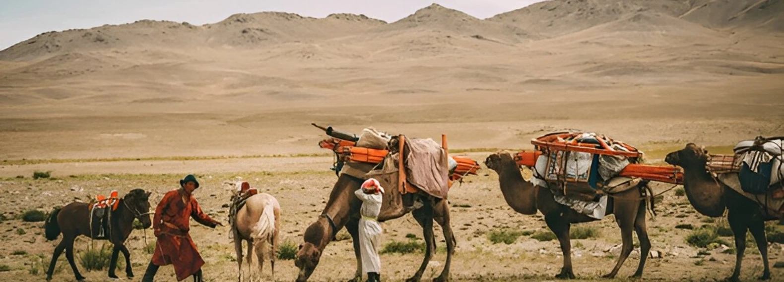 Spend a Day with a Camel Herdsman Family